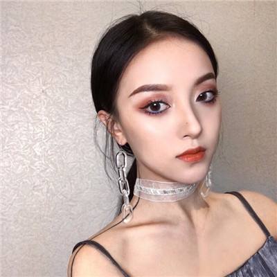 宠物精灵宝可梦果盘版下载